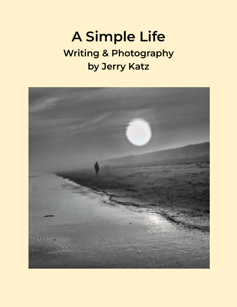 A Simple
            Life, Cover