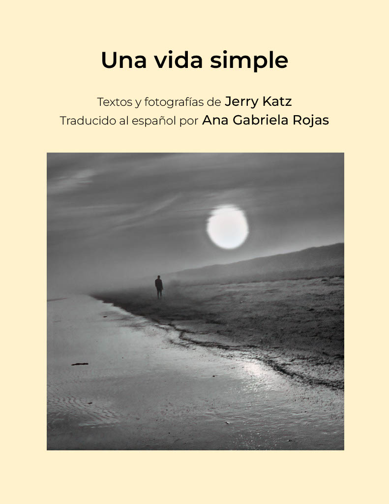 cover of Una vida simple