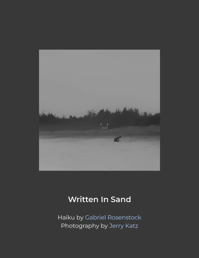 Cover of Written In Sand